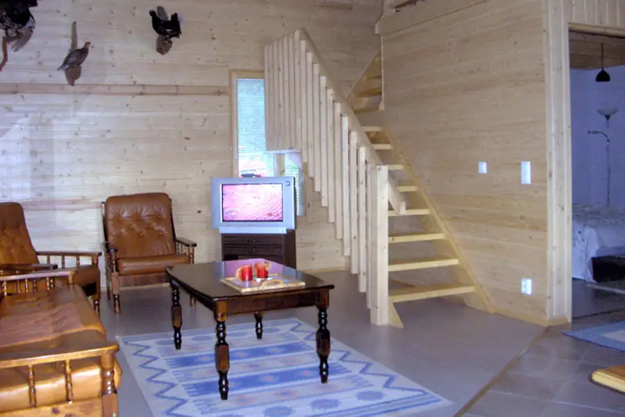 Ferienhaus FT 119 in Siikainen