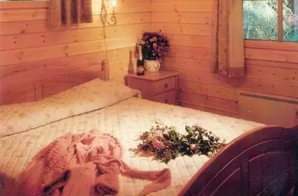 Ferienhaus FT 167 in Asikkala