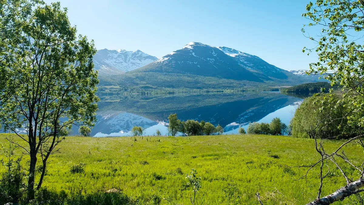 Drevja utsikt over innsjøen-Kristoffer Møllevik - Visit Helgeland