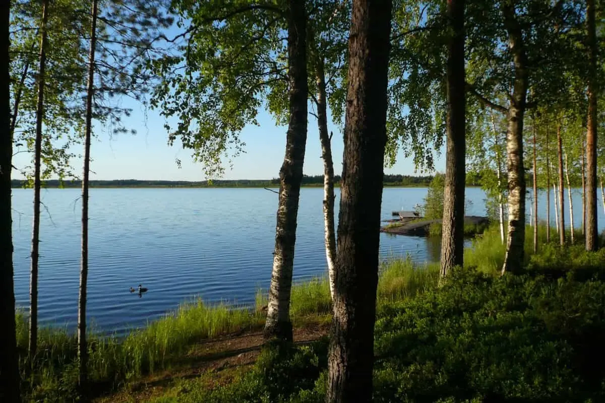Ferienhaus FT 189 in Savonlinna